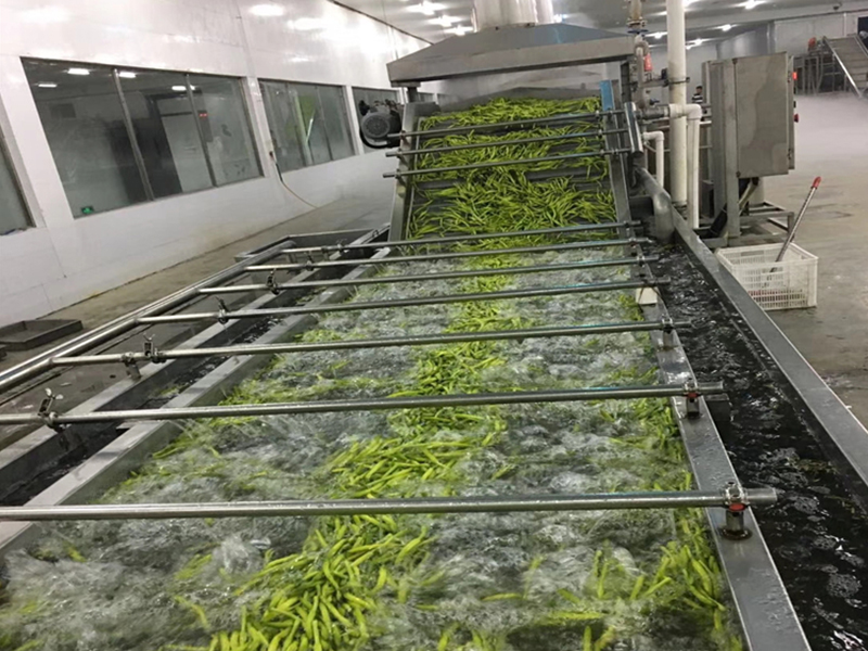 毛豆加工流水线