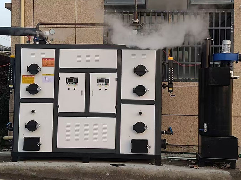 浙江黃花菜加工現場